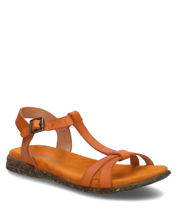 Fabricia 01 - Image 2