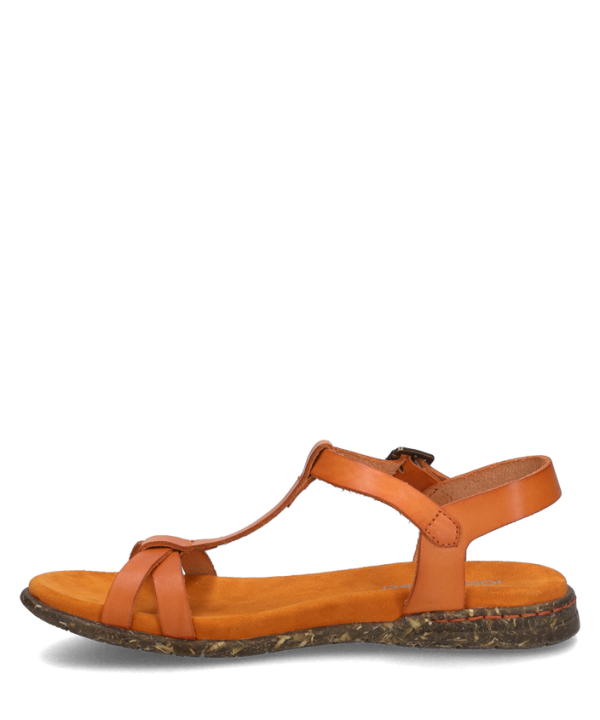 Fabricia 01 - Image 3