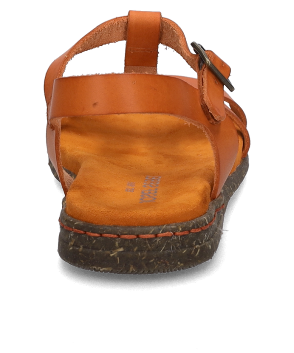 Fabricia 01 - Image 4