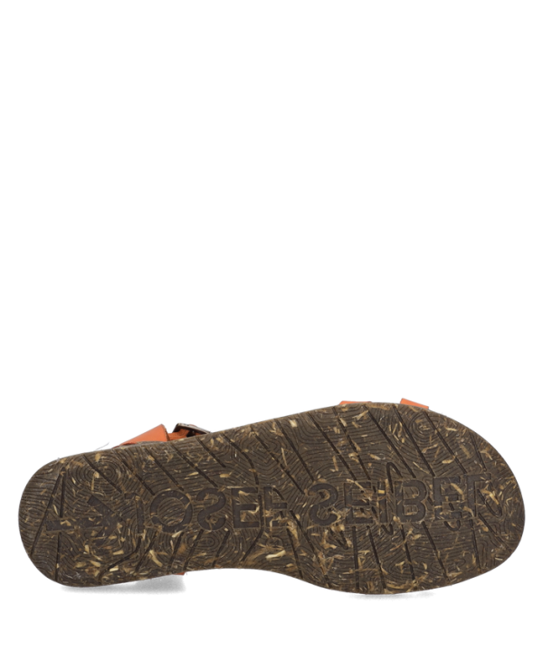 Fabricia 01 - Image 6