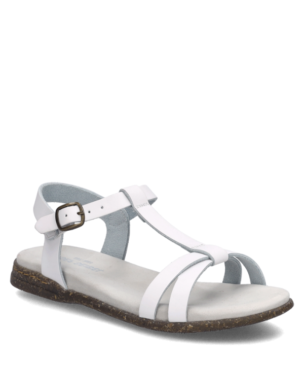 Fabricia 01 - Image 2