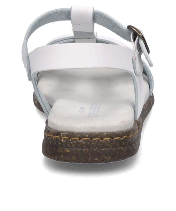 Fabricia 01 - Image 4