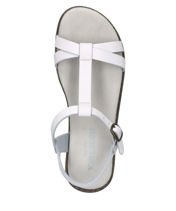 Fabricia 01 - Image 7